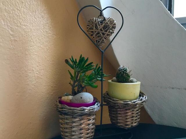 בית מלון כפרי Auberge Pour Tous