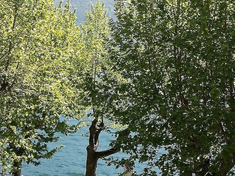 Отель Belvedere