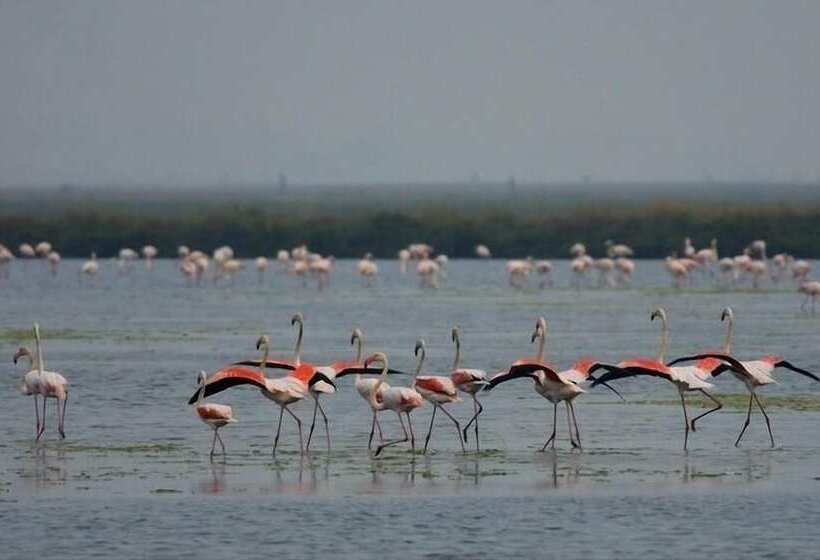 Best Western Hotel Dei Cavalieri