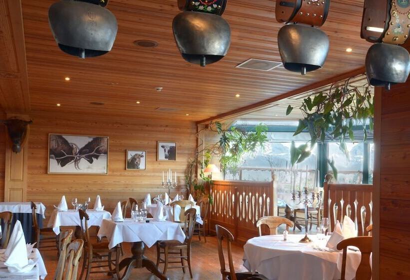 호텔 Hôtel Chalet Royal