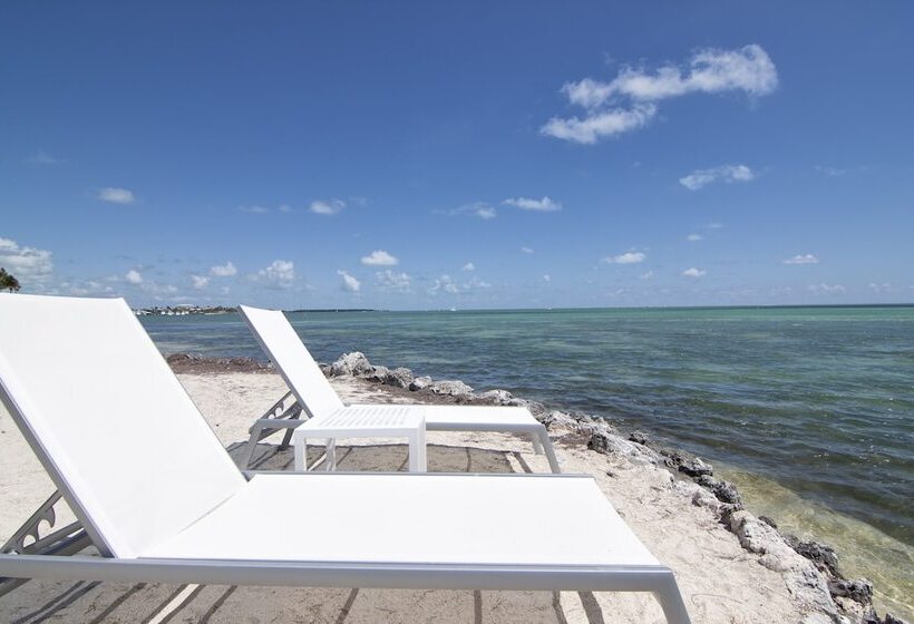 فندق Chesapeake Beach Resort