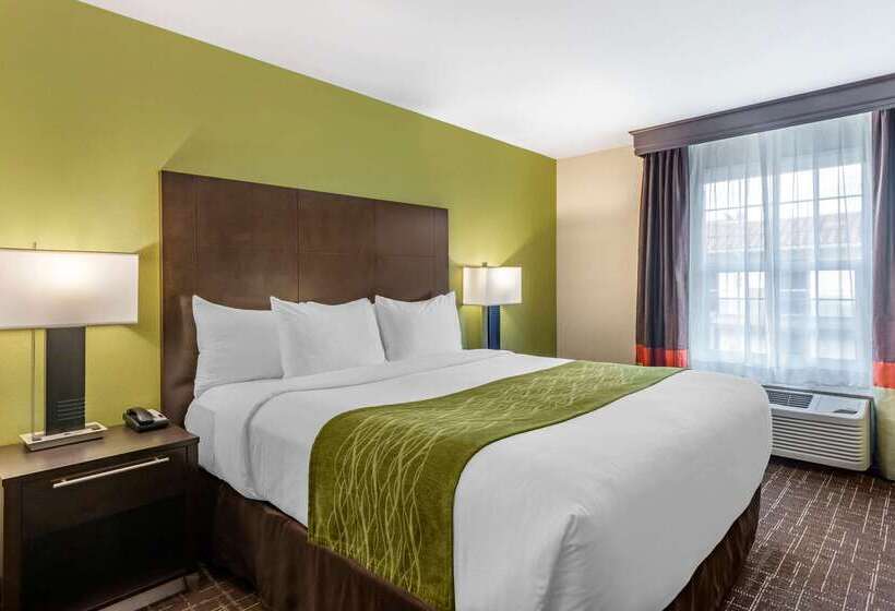 호텔 Comfort Inn San Diego Old Town