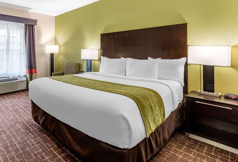 هتل Comfort Inn San Diego Old Town