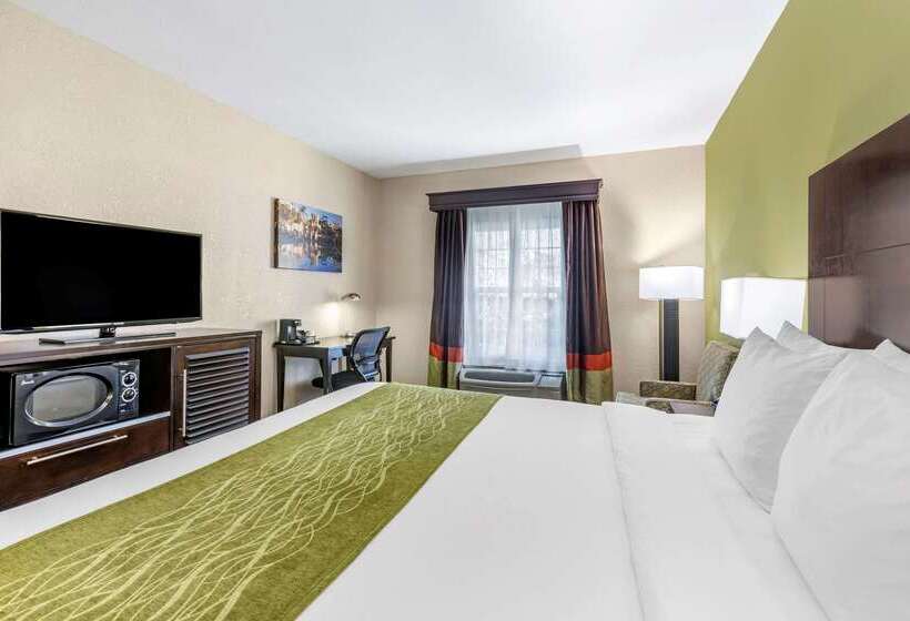 호텔 Comfort Inn San Diego Old Town