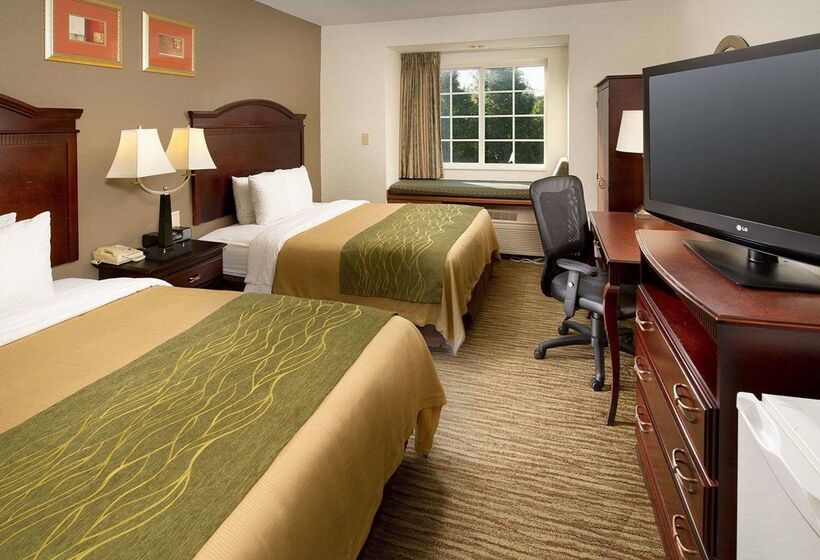 酒店 Spark By Hilton Sterling Dulles Airport