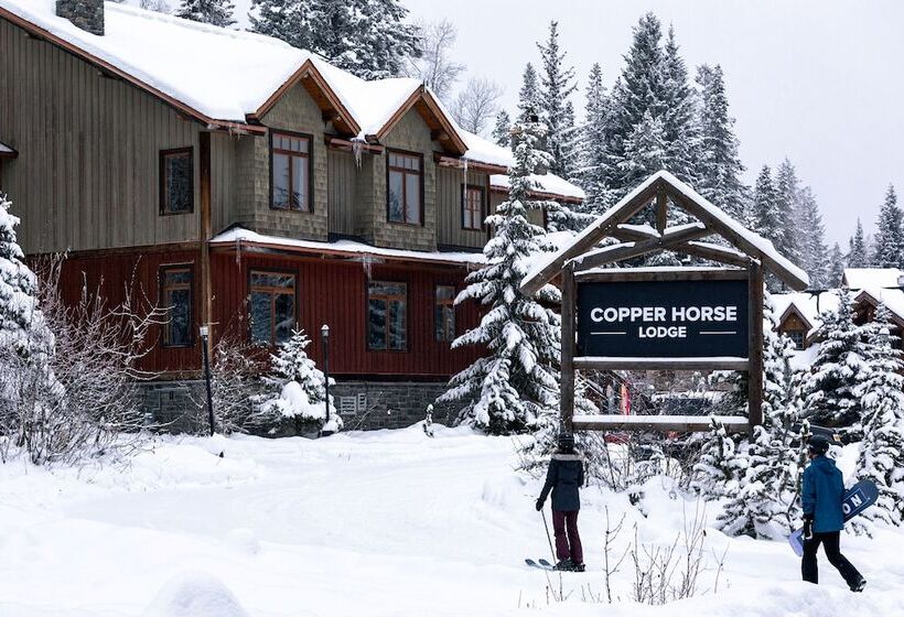 בית מלון כפרי Copper Horse Lodge