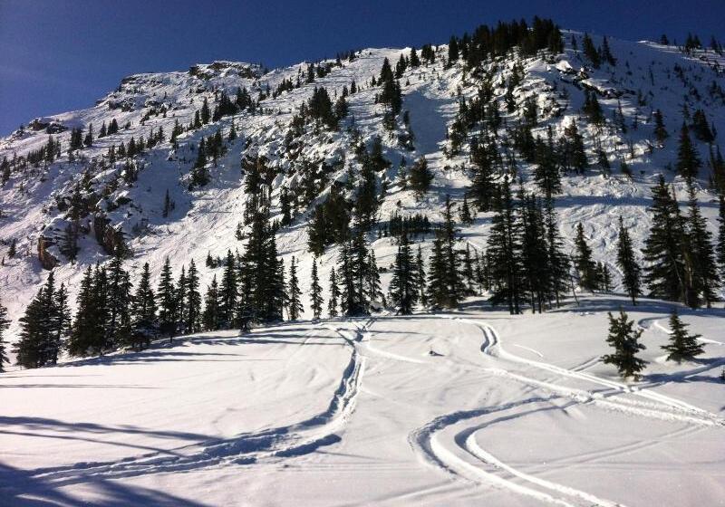 בית מלון כפרי Copper Horse Lodge