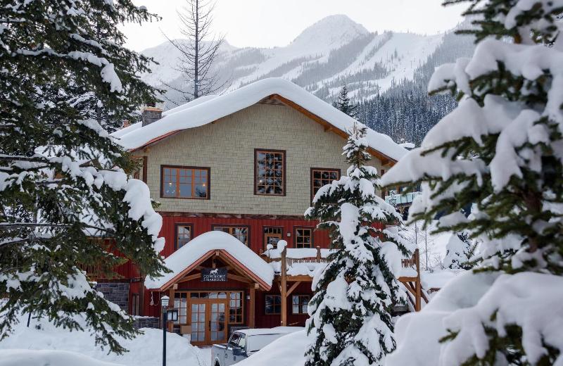 בית מלון כפרי Copper Horse Lodge