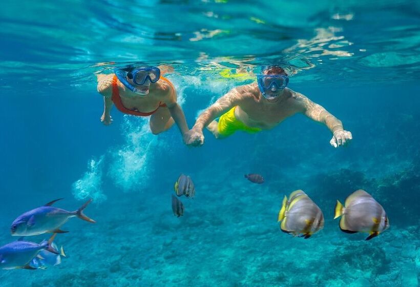 فندق Cozumel Palace All Inclusive