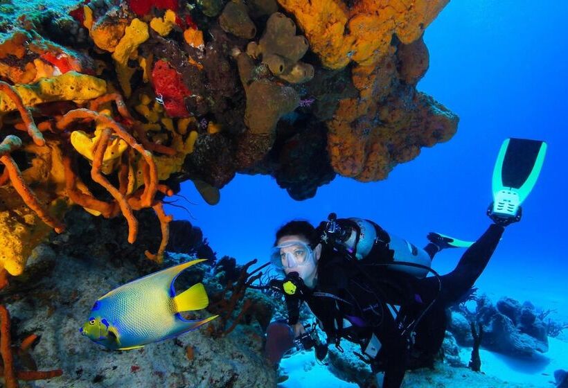 فندق Cozumel Palace All Inclusive