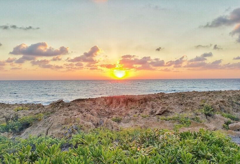 فندق Cynthiana Beach