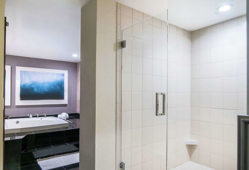 Doubletree By Hilton Hotel San Diego   Mission Valley