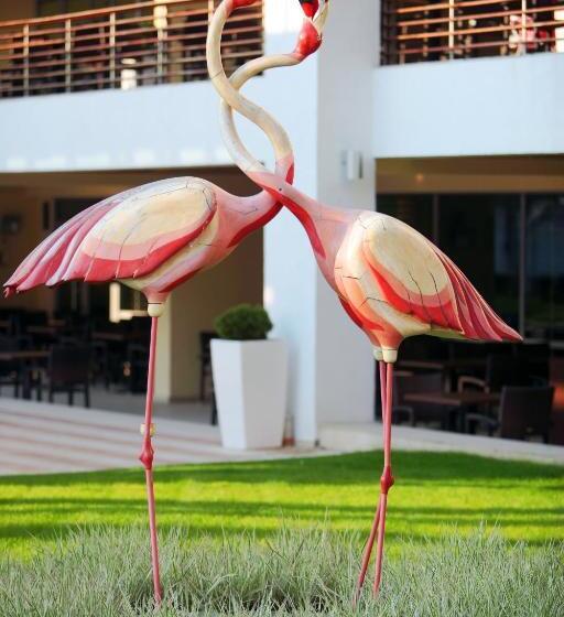 Flamingo Grand Hotel & Spa