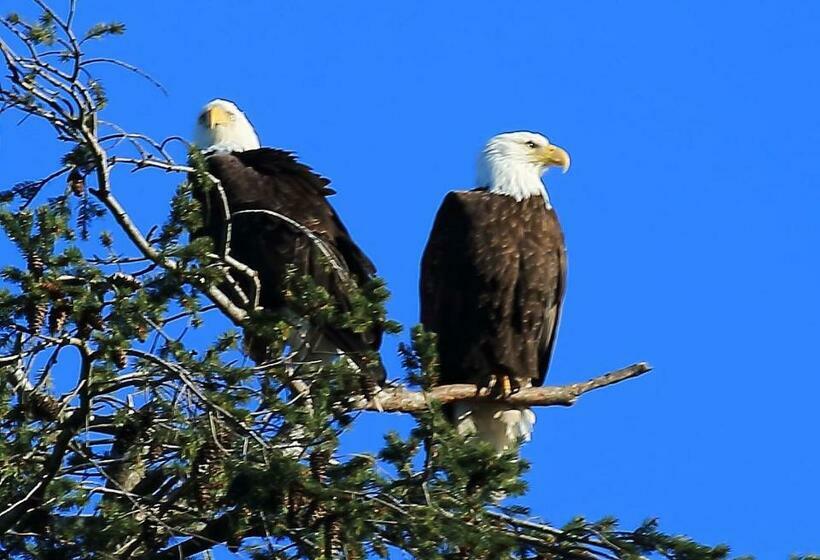 ホテル Glen Lyon Inn