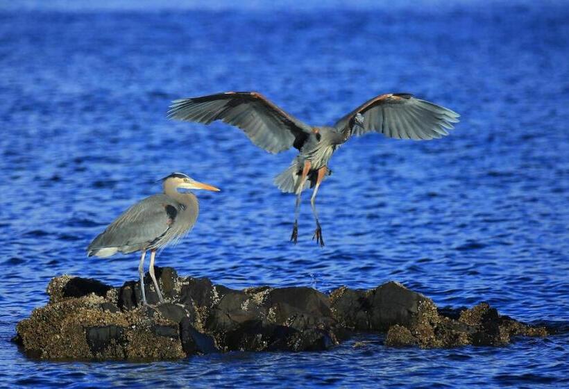 ホテル Glen Lyon Inn