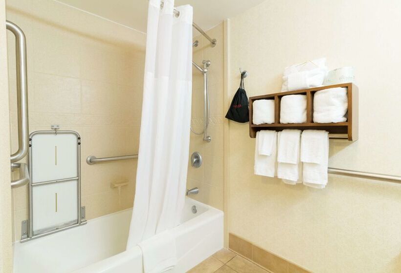 בית מלון כפרי Hampton Inn Savannah Historic District