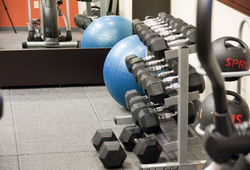 בית מלון כפרי Hampton Inn Savannah Historic District