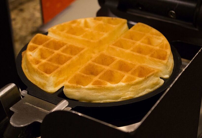 בית מלון כפרי Hampton Inn Savannah Historic District