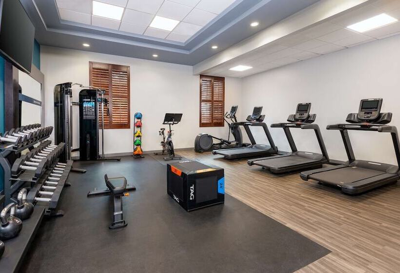 בית מלון כפרי Hampton Inn Savannah Historic District