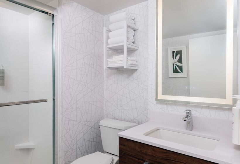 בית מלון כפרי Hampton Inn Savannah Historic District