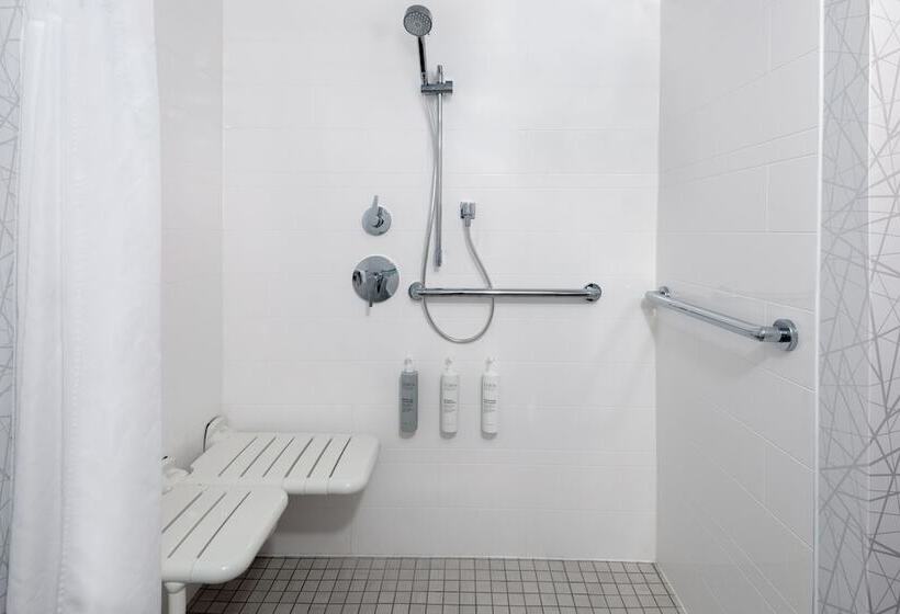 בית מלון כפרי Hampton Inn Savannah Historic District