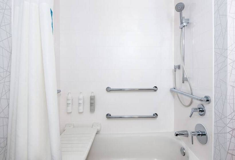 בית מלון כפרי Hampton Inn Savannah Historic District