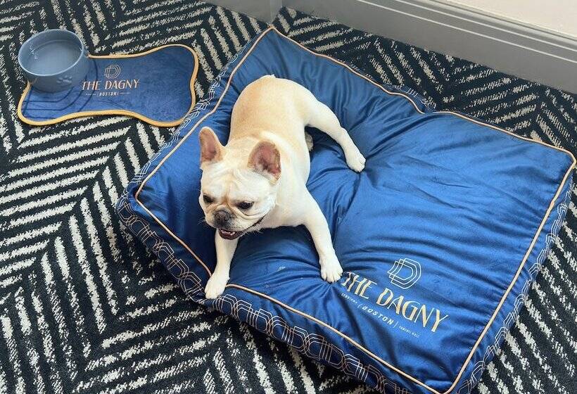 酒店 The Dagny Boston