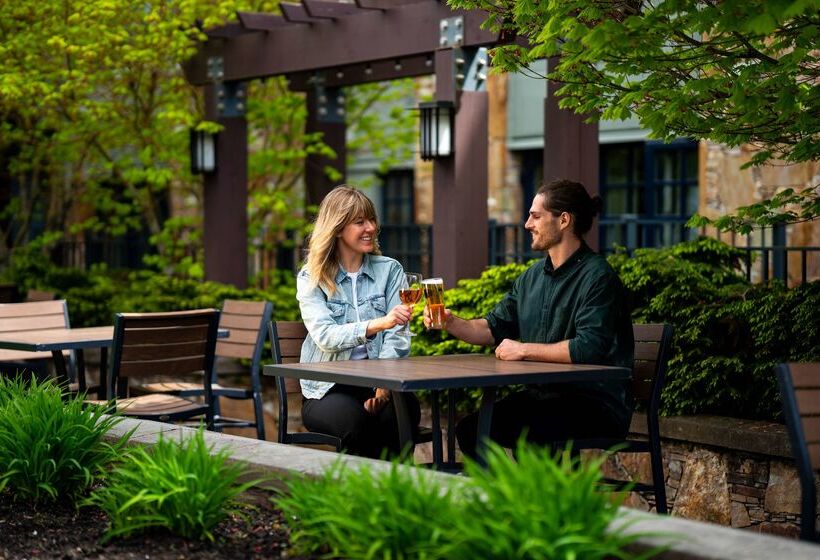 هتل Hilton Whistler Resort & Spa