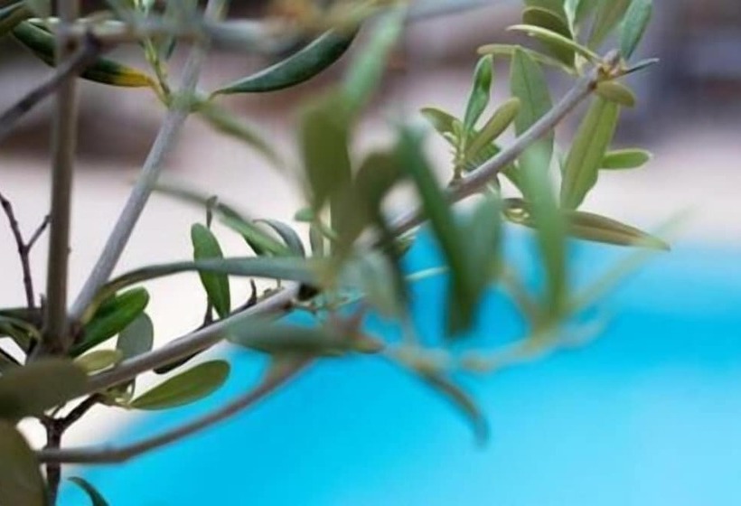 ホテル Hostellerie Du Cigalou   Teritoria