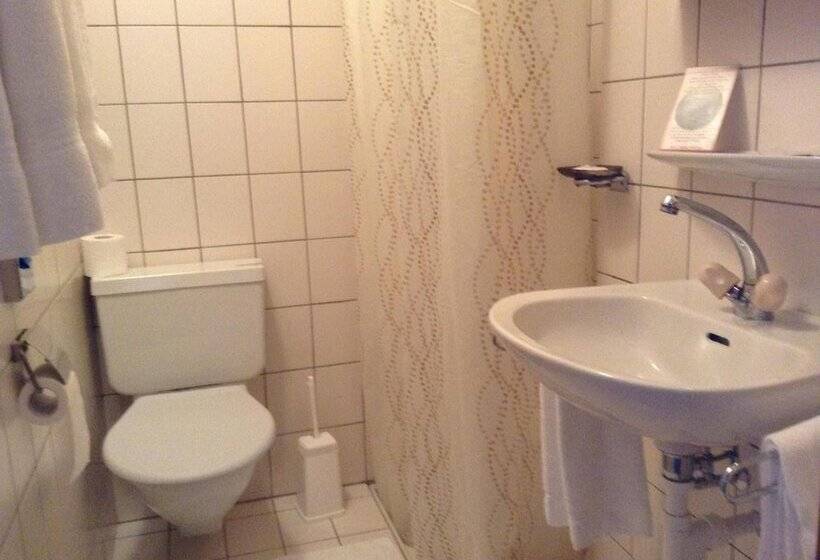 בית מלון כפרי Hôtel Restaurant Le Gruyérien