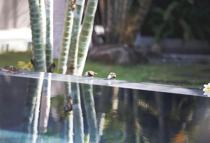 호텔 Jestate Villas & Guest Houses   Jimbaran