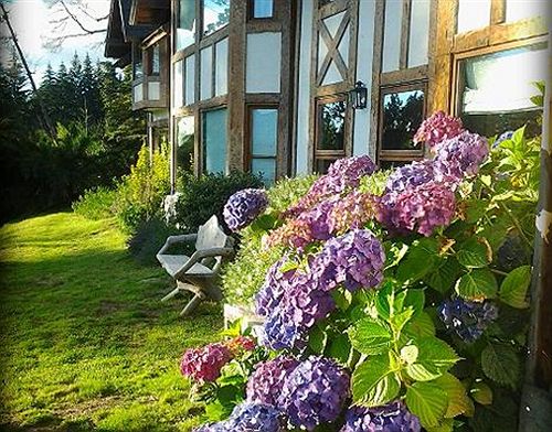 酒店 Naranjo En Flor Hosteria