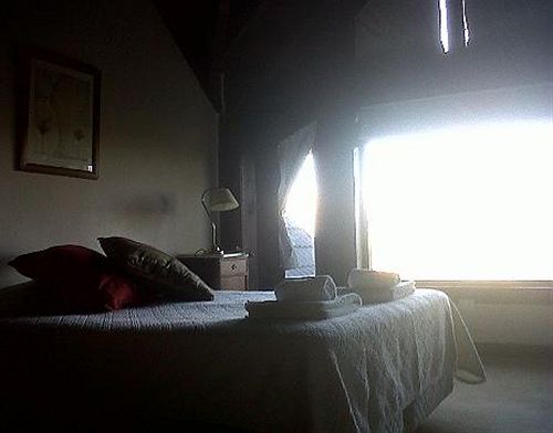 酒店 Naranjo En Flor Hosteria