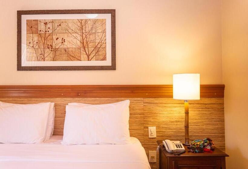 בית מלון כפרי Pousada Corsario Buzios