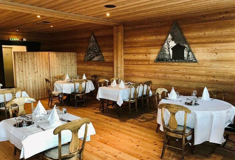 호텔 Hôtel Chalet Royal