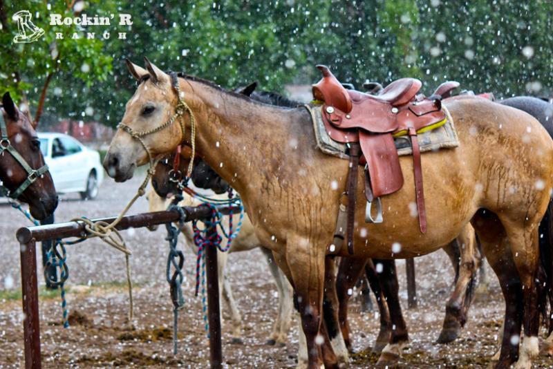 فندق Rockin R Ranch