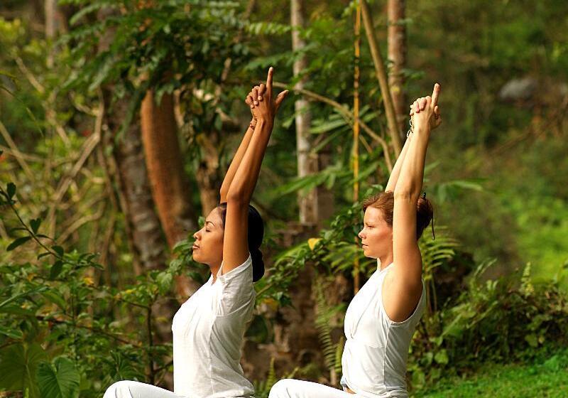 Отель The Royal Pita Maha