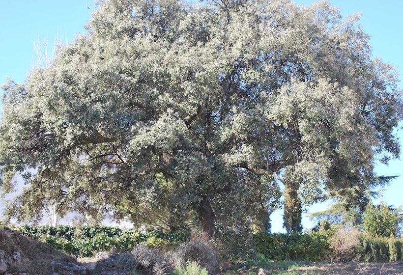 교외 호텔 La Encina Centenaria