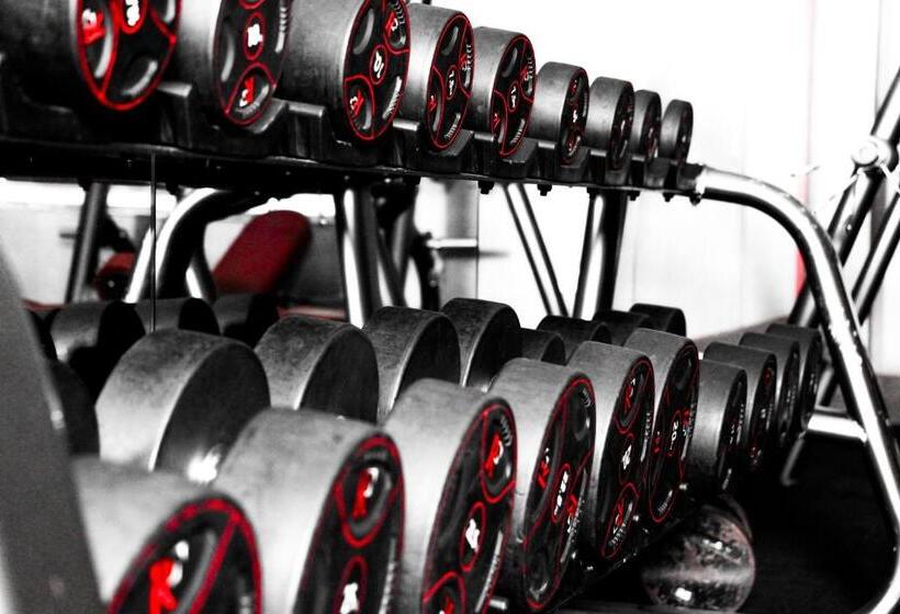 هتل The Sandy Palace