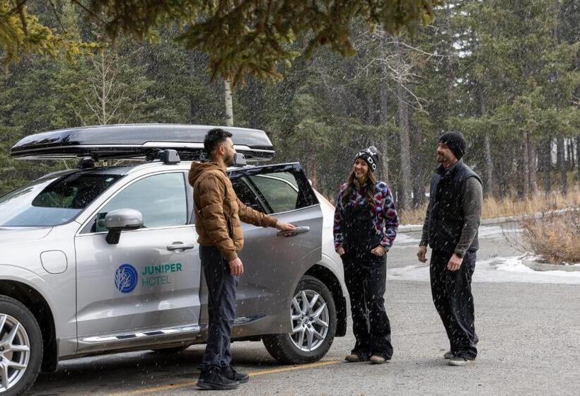 The Juniper Hotel & Bistro