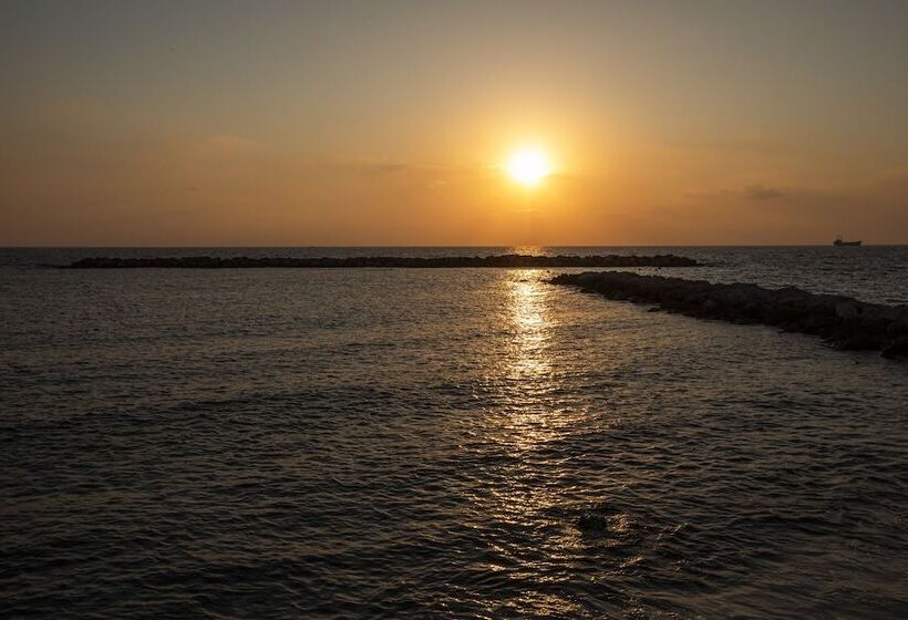 Отель Venus Beach