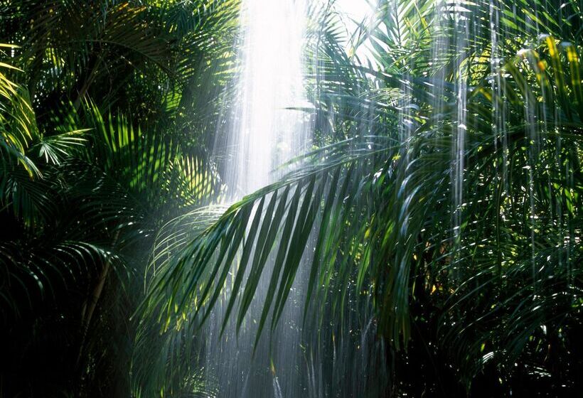 酒店 Viceroy Riviera Maya, A Luxury Villa Resort