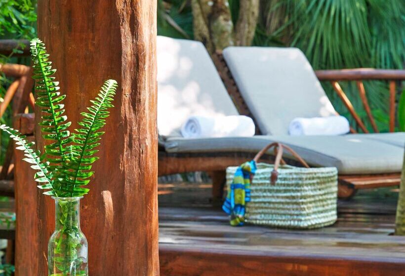 酒店 Viceroy Riviera Maya, A Luxury Villa Resort