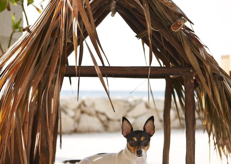 酒店 Viceroy Riviera Maya, A Luxury Villa Resort