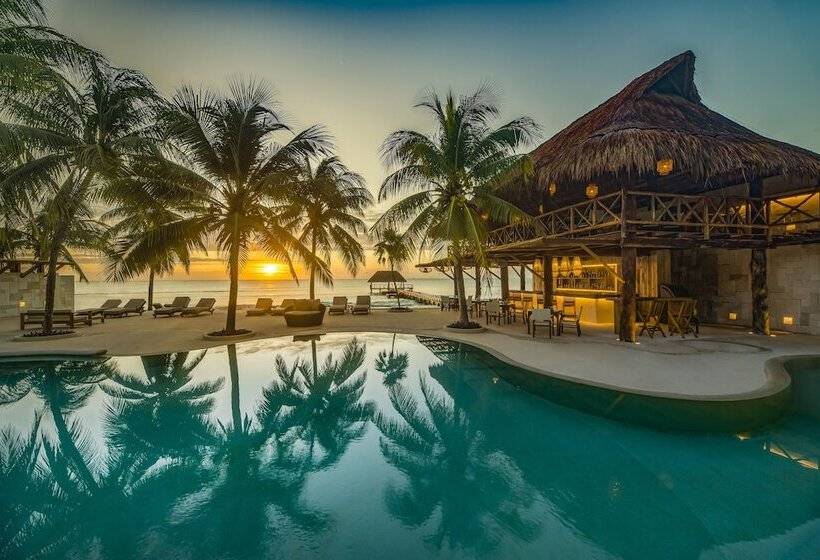酒店 Viceroy Riviera Maya, A Luxury Villa Resort