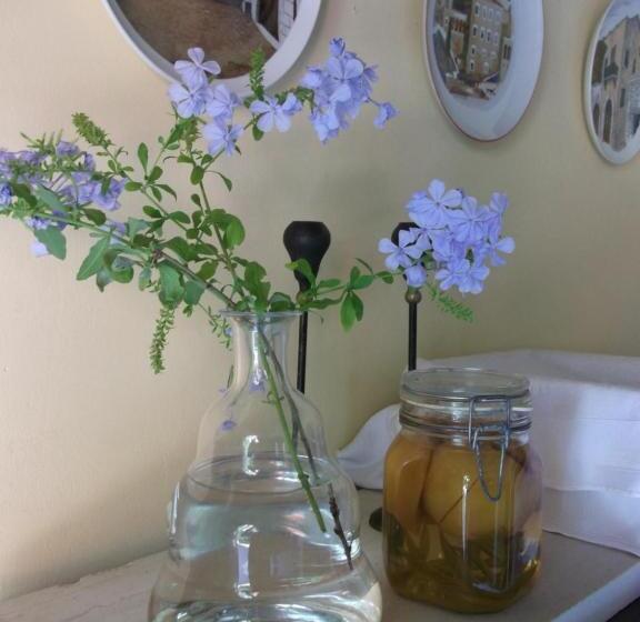 酒店 Villa De Loulia