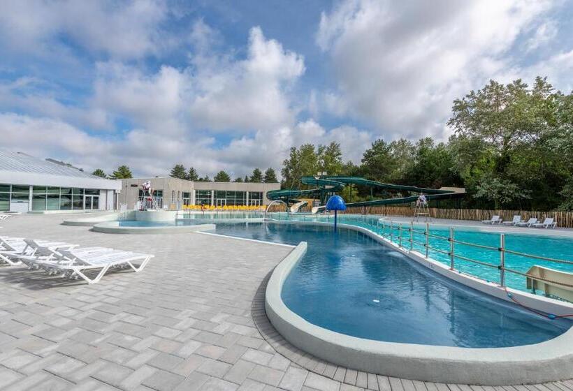 Residence Belle Dune   Maeva Home