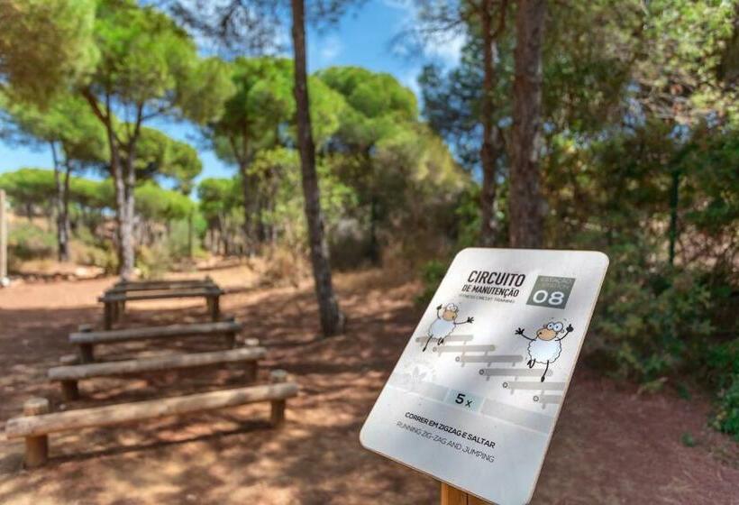 Ap Adriana Beach Resort