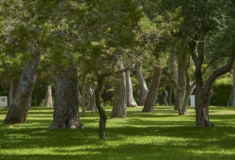 Apartamentos Cala d'Or Playa