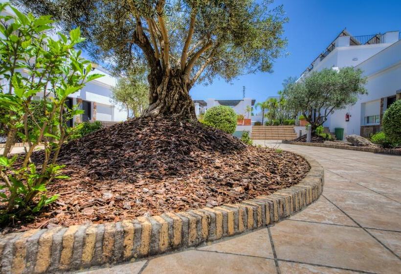 Apartamentos Piedramar